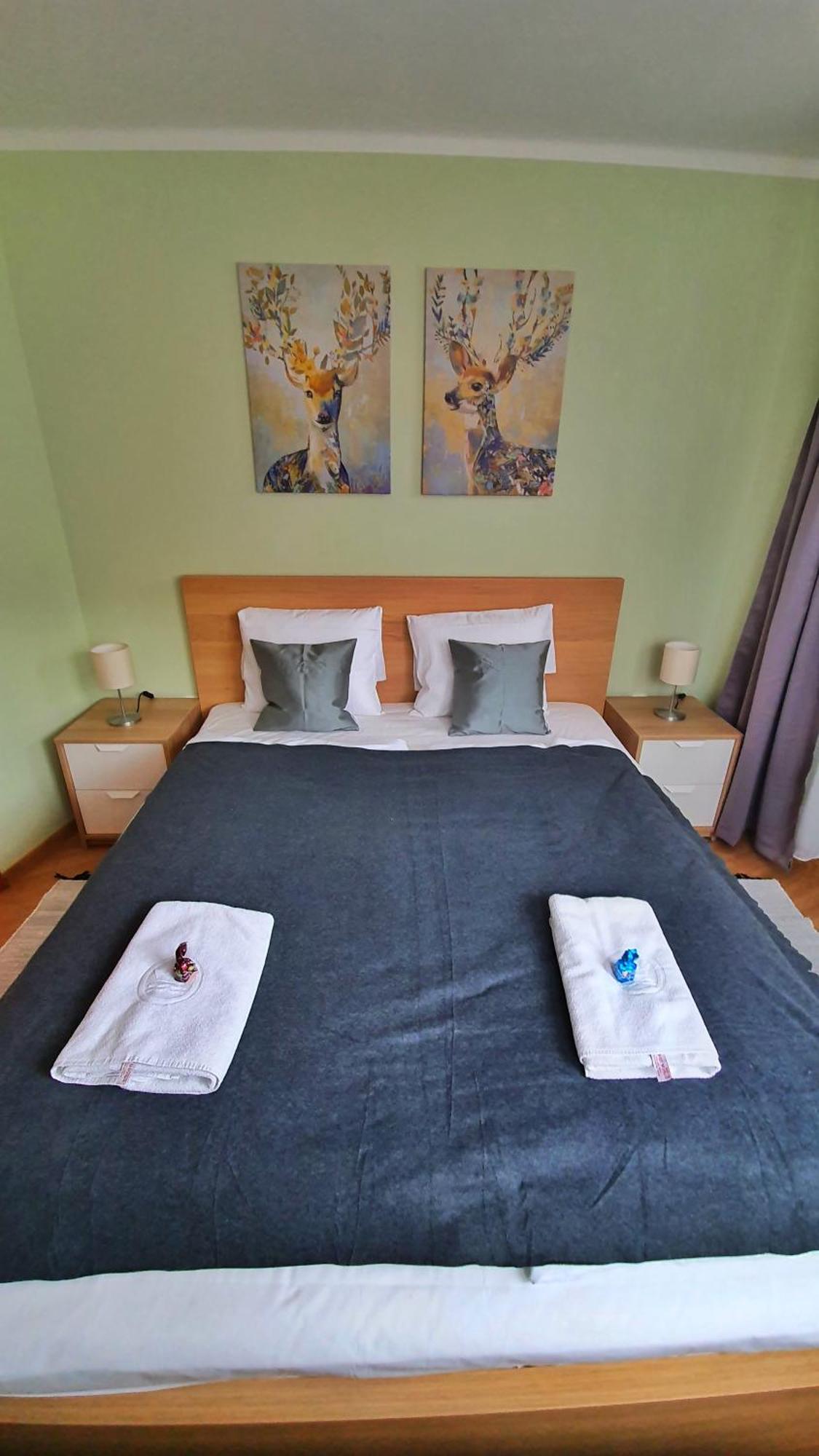 Pannonia Apartman 에스테르곰 객실 사진